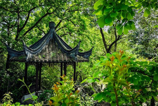 拯救高温周末！南京本地人私藏的6个清凉公园，免费又好玩，快冲