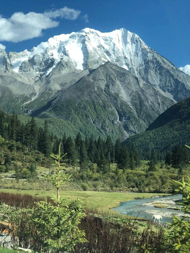 你当像鸟，飞往你的山⛰️美图壁纸