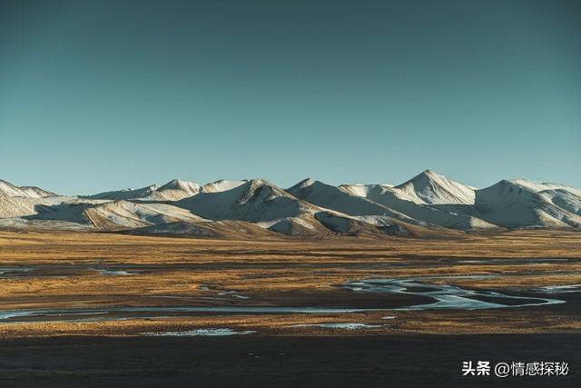 做人难吗？小事不计较，大事敢放手，内心强大才是真成熟！