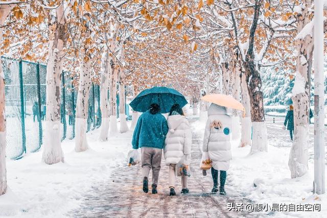 大雪为幕，赴一场心动之约