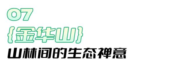 在射洪，你真的可以把日子过成诗~