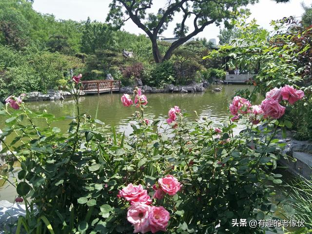 一边走一边游走呀走游呀游从东北去南方暧和着去。