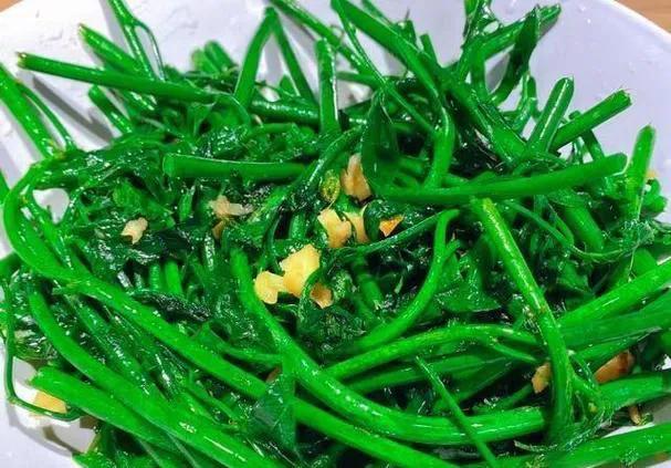 立秋过后，要使劲吃这菜，一排毒、二助眠、三清肝护眼，清新脆嫩