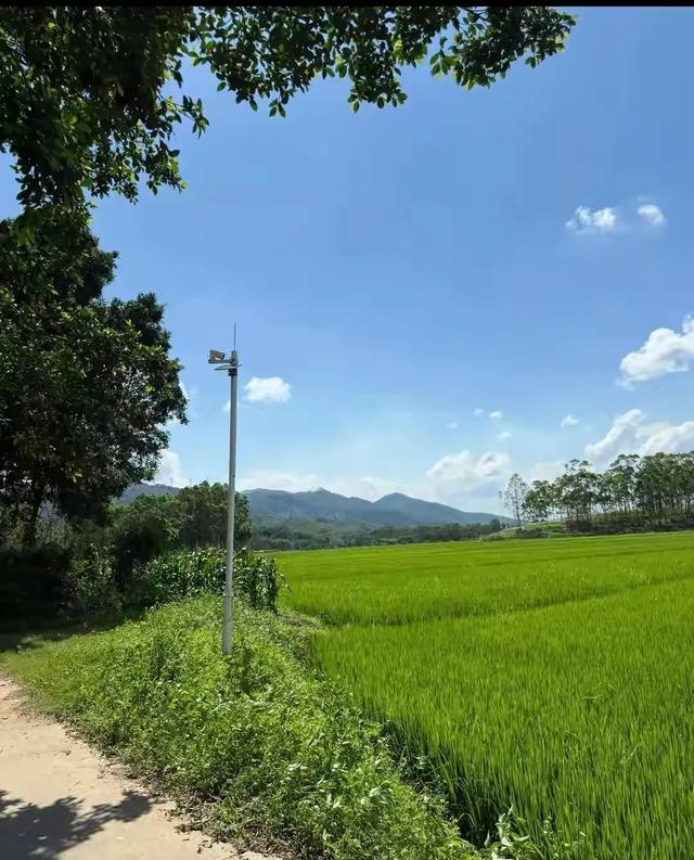 “知青下乡”重启?广东打响第一枪!号召30万青年，下农村