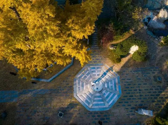 马上来“临” “沂”起过年｜爬一座沂蒙的山