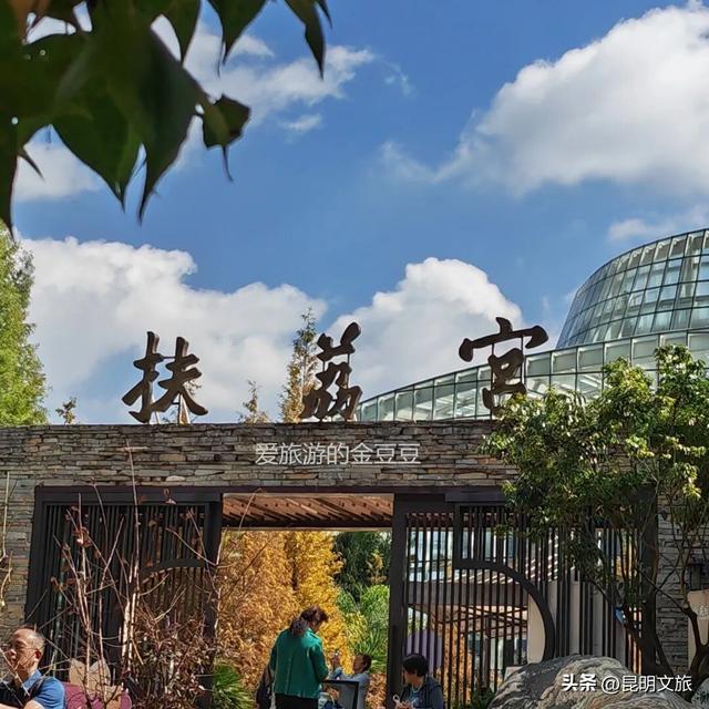 初冬出片C位！昆明这个地方必须榜上有名，周末抓紧冲~