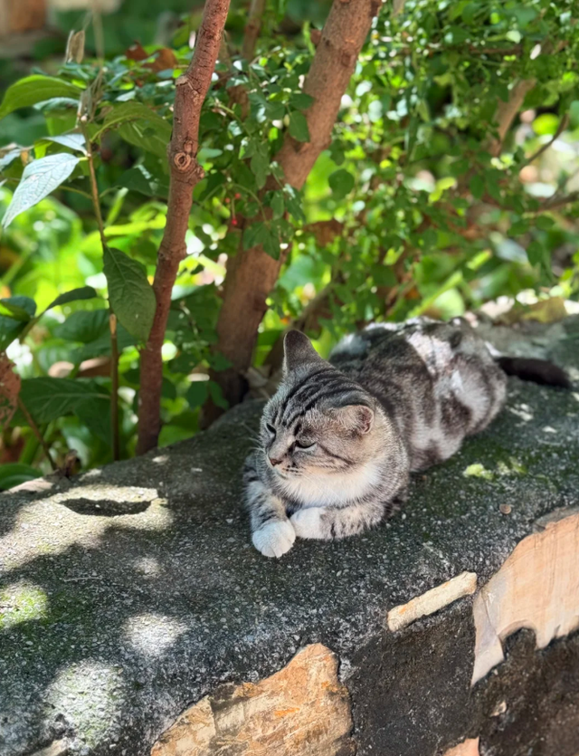 这座不起眼的小县城，距离北京88公里	，古建珍贵程度不输山西