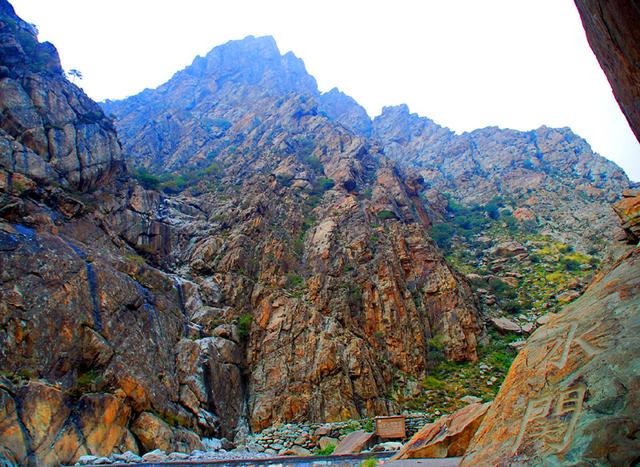 宁夏旅游：从沙漠绿洲到贺兰山岩画揽胜（图）