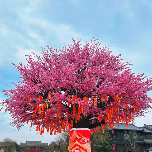 我是上海人，游洛阳洛邑古城看夜游灯光秀，比外滩有古韵味