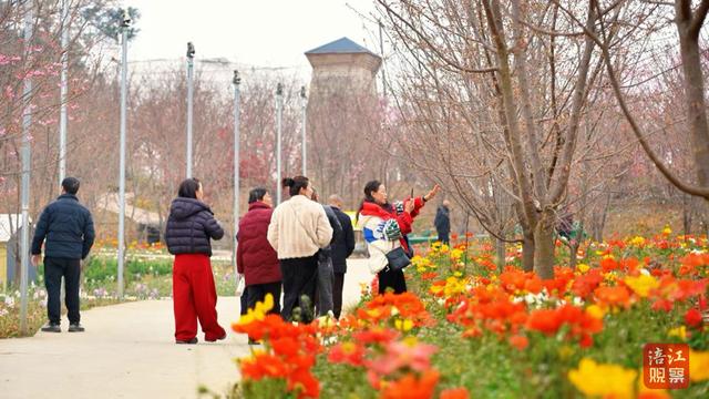 不负春光！来绵阳，赴一场浪漫花事