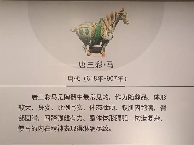 西安世博园珍宝博物馆