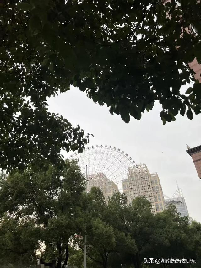 遛娃新方向，贺龙体育馆旁神秘小巷，通向长沙“小首尔”！