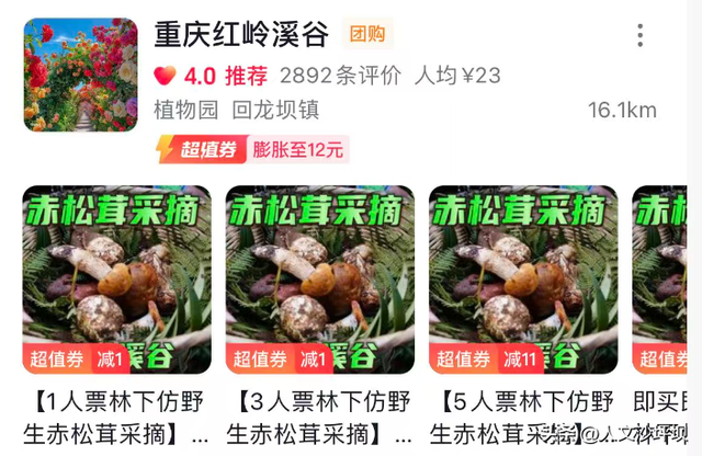 周末，来沙坪坝采“野味”呀~（附宝藏民宿/营地清单）