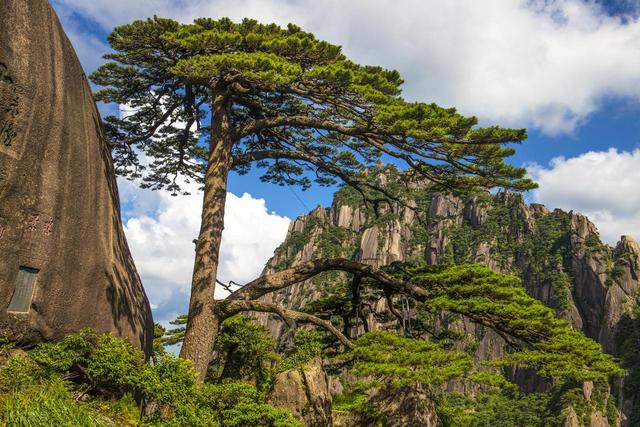 中国十大世界级绝世美景，你去过几个？全部去过的算你厉害！