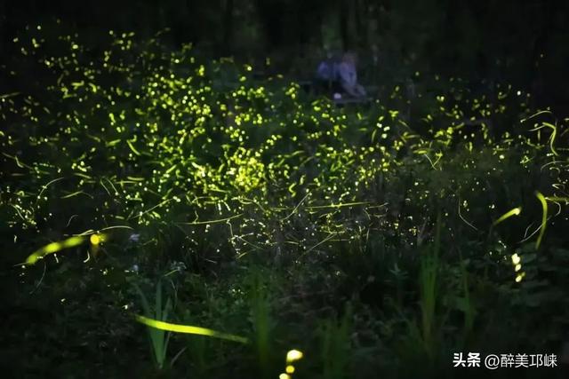 迎世运 耍邛崃｜就是宠你！世运专属福利来啦→