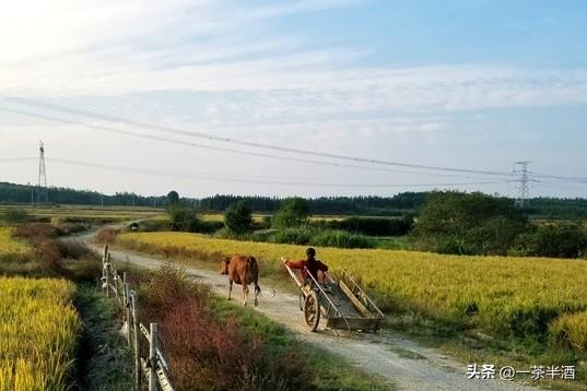 自驾攻略：江西新余市自驾线路，景点-营地-特色美食联动轻松游玩