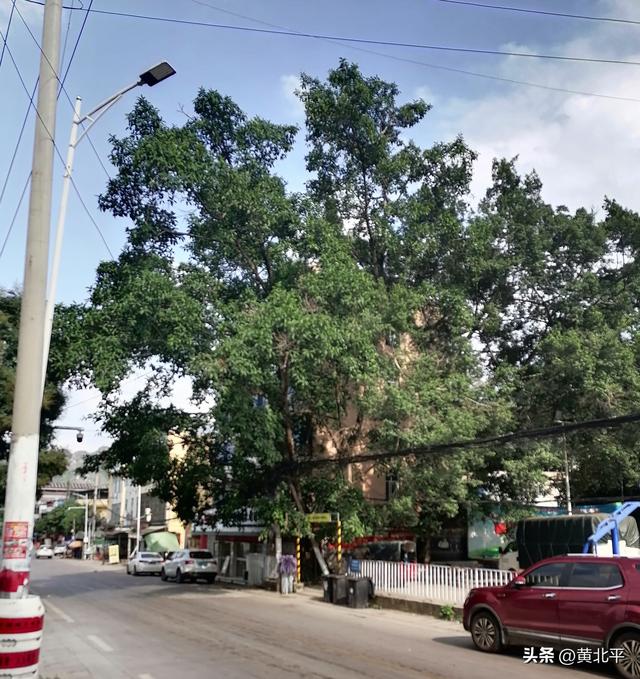 广西崇左市龙州县与大新县交界的小乡，名字特别全国绝对没有重名