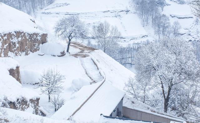 “最怕大雪是晴天	”	，明日大雪，大雪晴有啥预兆？