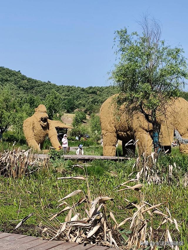 金寨一品原乡境景半日游