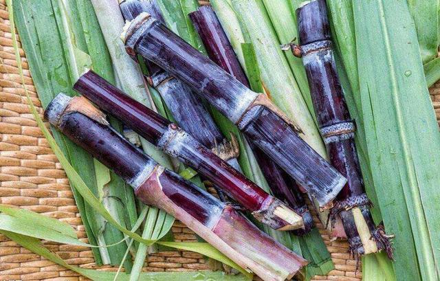 “立冬4不吃，病就不找来！”11月7立冬，哪4不吃？应时节乐过冬