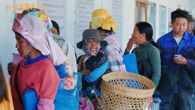 来一次古茶山之旅，去读懂贺开十五年的光阴故事