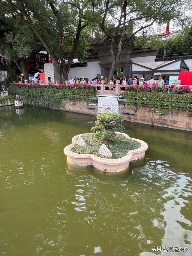 中秋逛豫园，月满人团圆