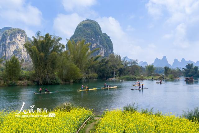 广西阳朔：遇龙河春意盎然引客来