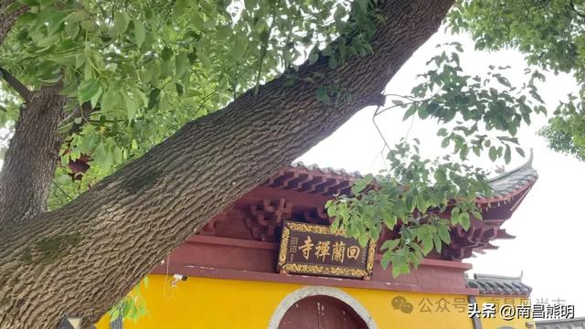 南昌黄马鹤林寺：托起一代画圣八大山人
