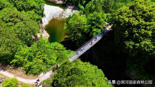 西安40℃+?别硬扛了!赶紧往黑河“跑”!