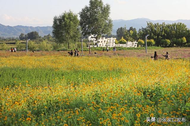 涿鹿：桑干河畔 风光旖旎