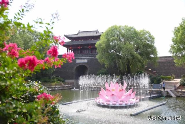 七夕限定！东阿中医药文化旅游区邀你 “鹊桥相会”，解锁浪漫与养生的双重惊喜！ #网络中国节 #齐鲁网络中国节
