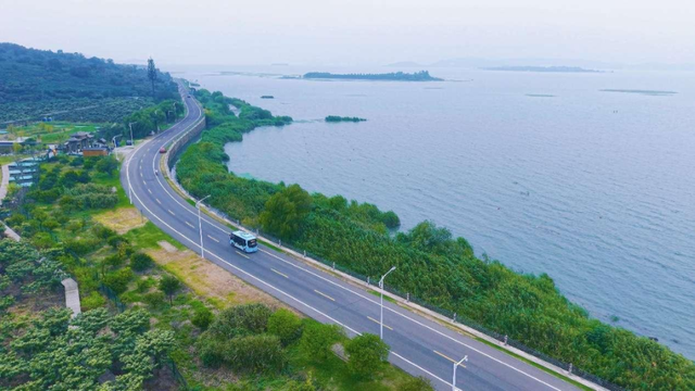 @苏州观鸟达人 太湖一号“观鸟专线”让你无缝换乘 直达景点！