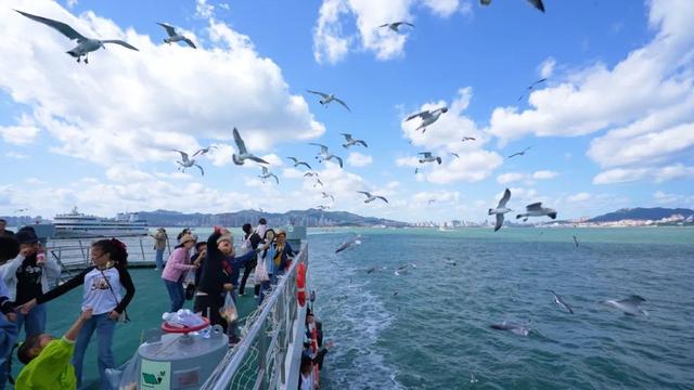 嗨 ~ 海 海 海 海 海 ~