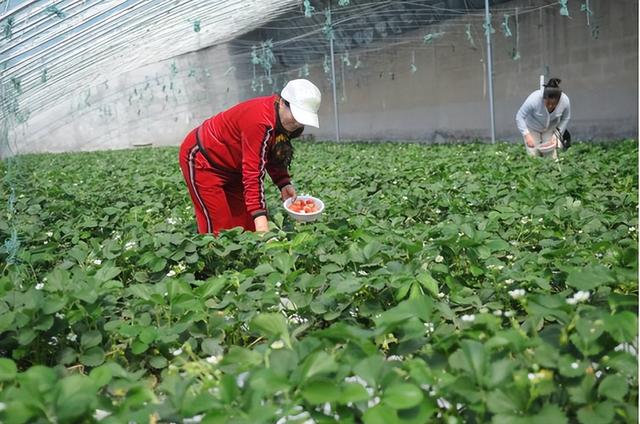 中国最不好惹的一个省：半个中国都依赖她，太令人震撼