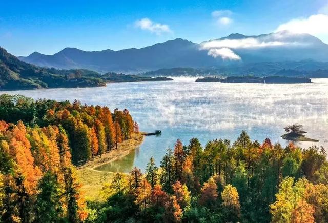 杭黄联动秋趣浓！黄山区徽黄之路户外助力黄山古道徒步推介，解锁秋日徒步新体验