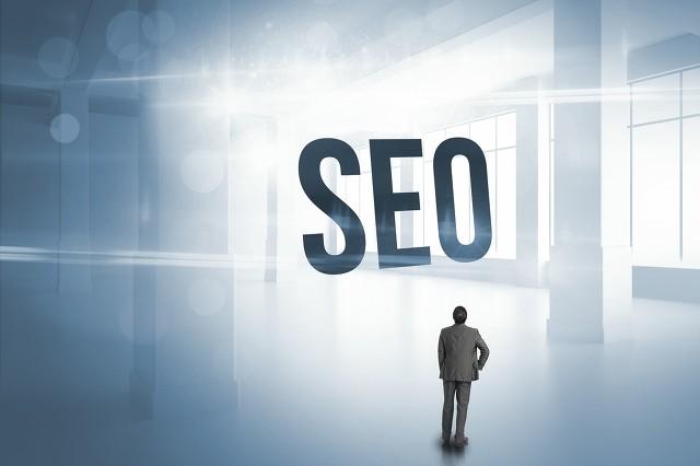 惊鸿 SEO快排：效果、风险与选择攻略 蜘蛛池