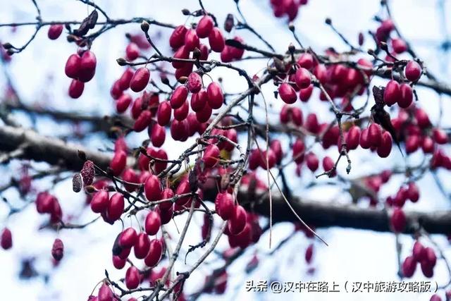 初冬游汉中岳坝，在自然里疗愈身心！