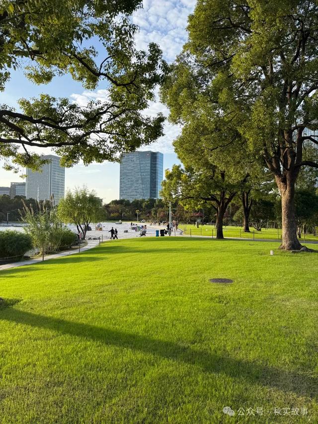 秋日的大宁公园简直美的不像话，推荐上海的朋友周末去玩