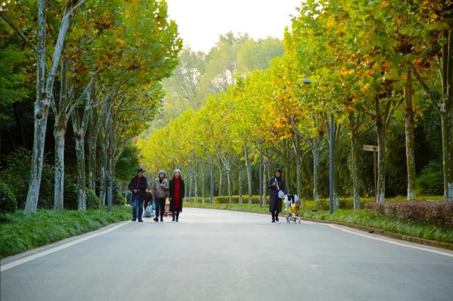 出发!感受两江绝美秋色 邂逅一园烂漫