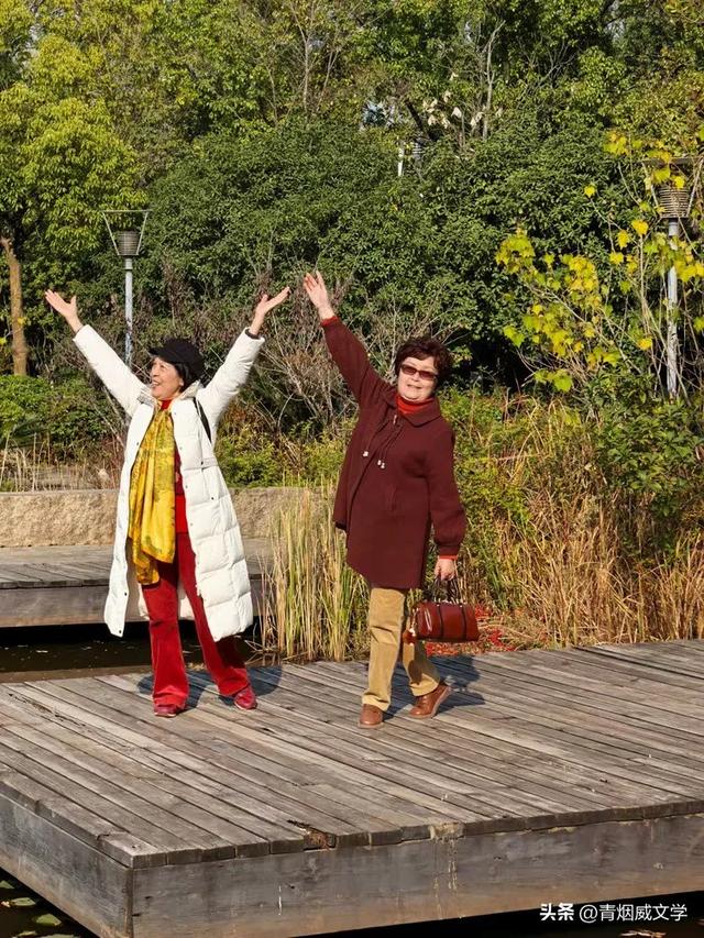 盘龙悠远银杏黄 水中学友情谊长