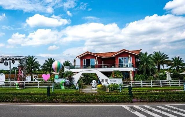 “杉杉”来了！崇州免门票小众宝藏秘境