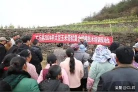4月底，新一轮种地补贴下达，涉及多个方面，农民朋友注意查收图片