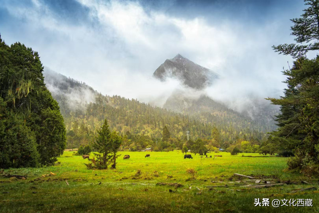 对不起，这看日照金山、流星、沙漠和雪山同框的宝藏地，我写晚了！