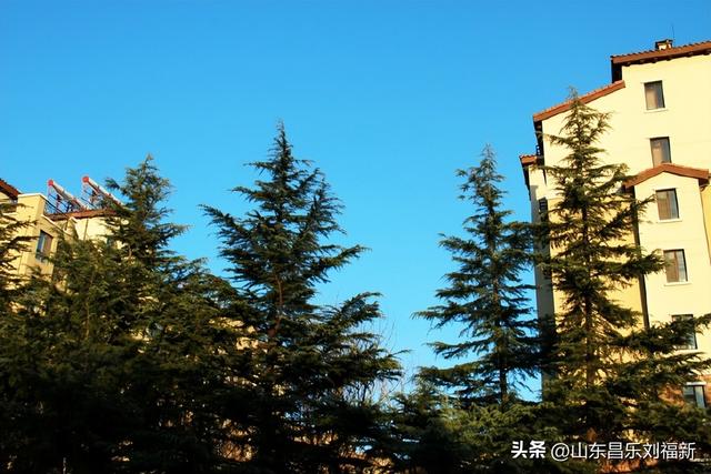 小区1号楼停电·徒步下楼·逛一圈的趣事