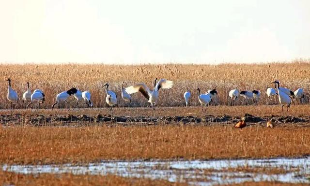 江苏面积最大的地级市，比2个南京还要大，简直是中国的风水宝地