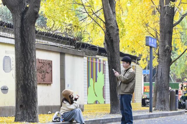 “顶流”来啦！“杏”福浓度超标→