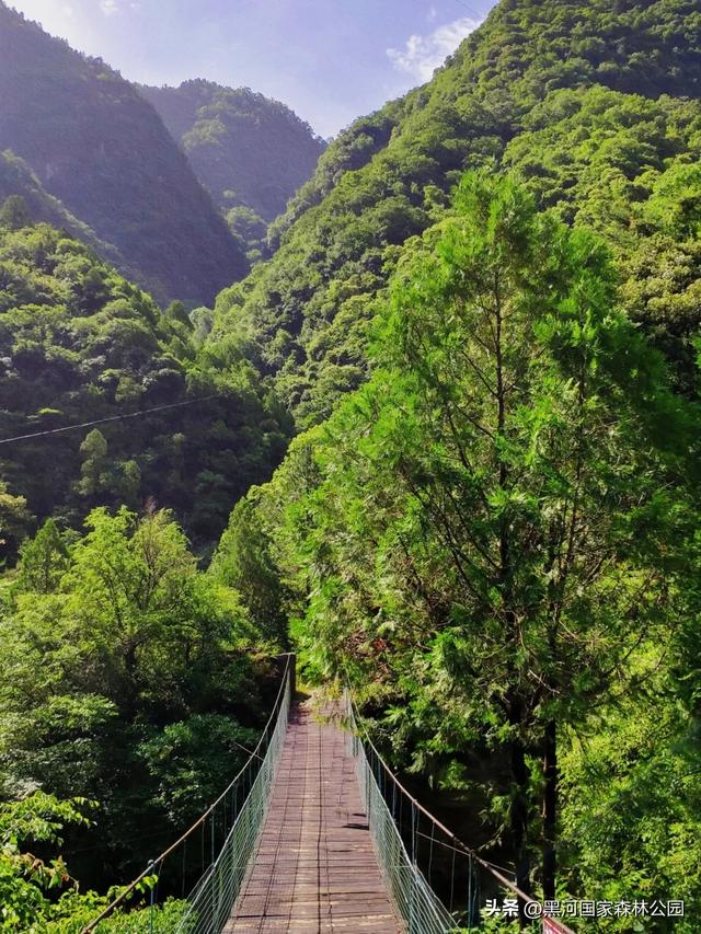 秋意初染，黑河美景正当时！一键开启赏秋之旅~