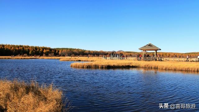 探秘东沟湿地狩猎区：一场原始野味的自然交响曲
