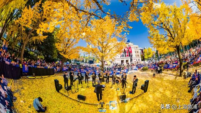 市中心的“金色会客厅”,成为了最欢乐的海洋!