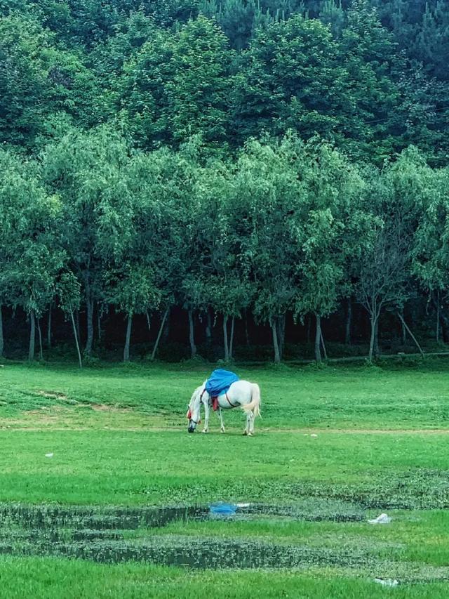速戳！贵阳白云风筝嘉年华，随风筝趣玩白云